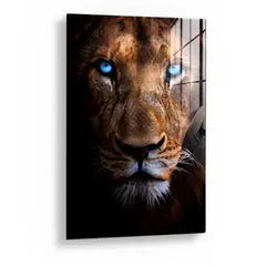 Collection image for: Lions