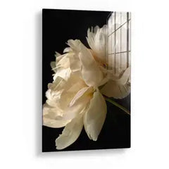 Collection image for: Flowers