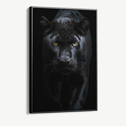 "Black Jaguar"