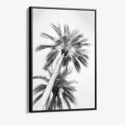 "Under The Palm Trees"