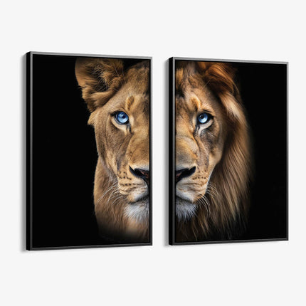 Bundle: "Blue Eyed Lions" (2x)