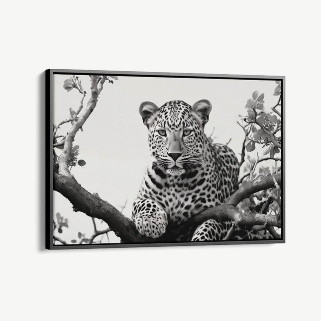 "Jaguard In The Tree"