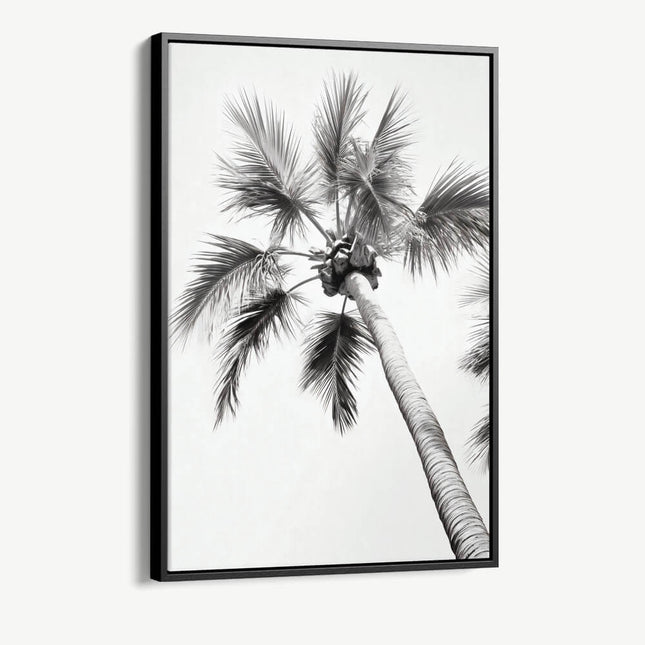 "Beachy Palm"
