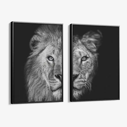 Bundle: "Wild Mirror" (2x)