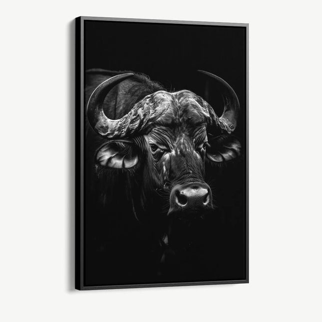 "Gaze of Resilience"