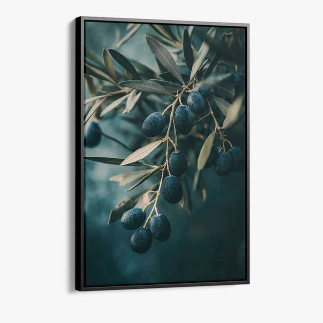 "Olive Tree Closeup"