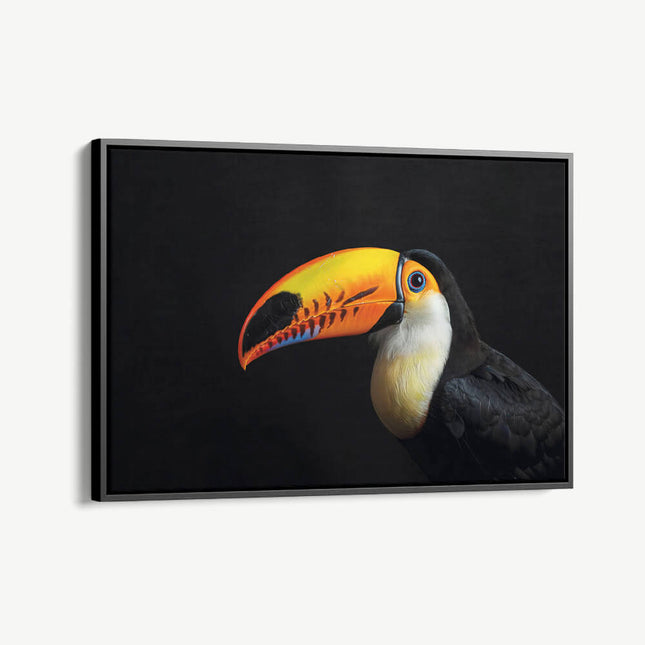 "Toucan"