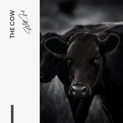 The Cow – Glass