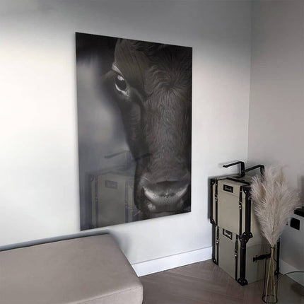 Cow Close-Up – Glass