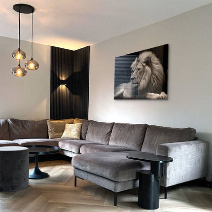 King of the Wild – Glass