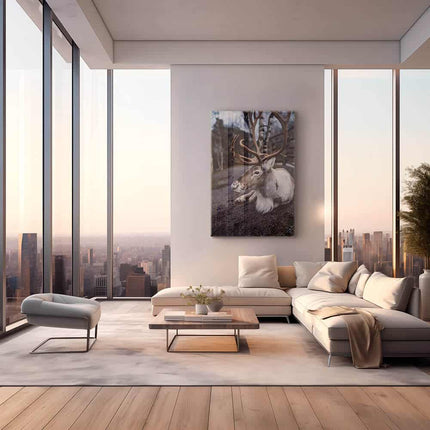 The Caribou – Glass