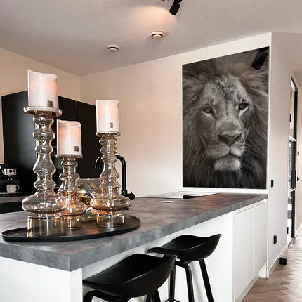 Throneborn – Glass