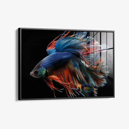 Betta Fish – Glass