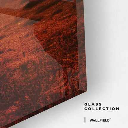 Elephant On The Road – Glass