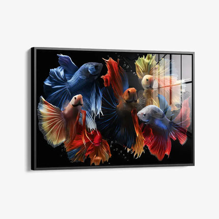 Colourful Fishes – Glass