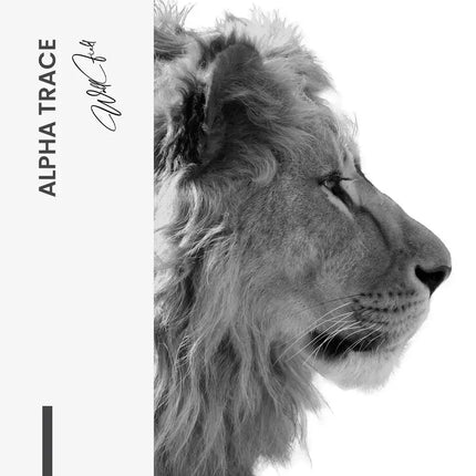 Alpha Trace – Glass