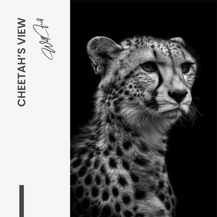 Cheetah's View – Glass