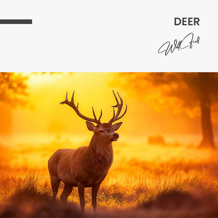 "Deer"