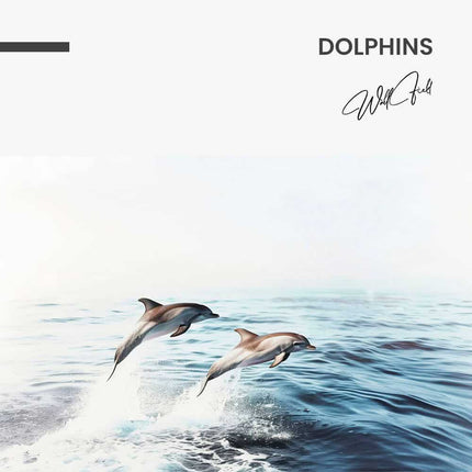 Dolphins – Glass