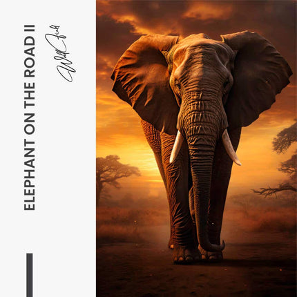 "Elephant on the Road II"