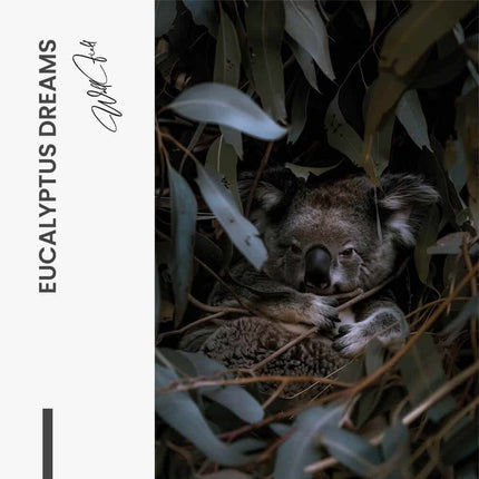 "Eucalyptus Dreams"