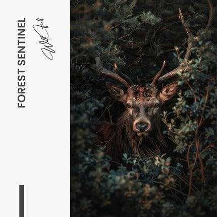 "Forest Sentinel"