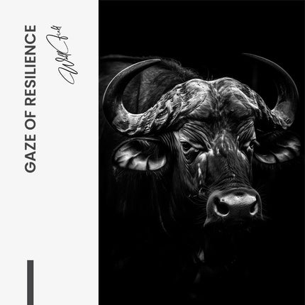 "Gaze of Resilience"