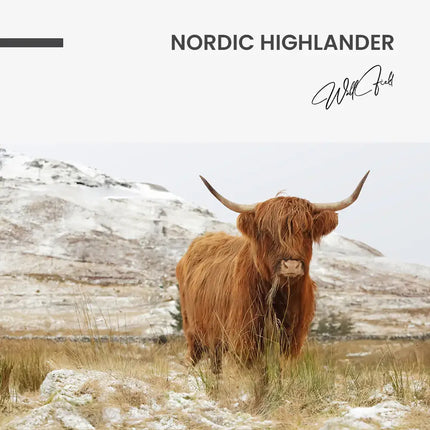 "Nordic Highlander"