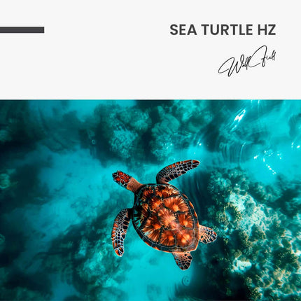 "Sea Turtle HZ"