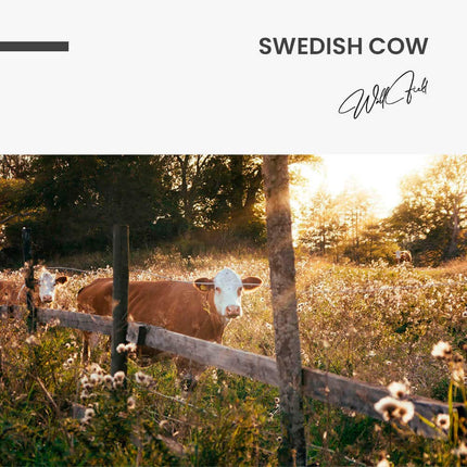 Swedish Cow – Glass