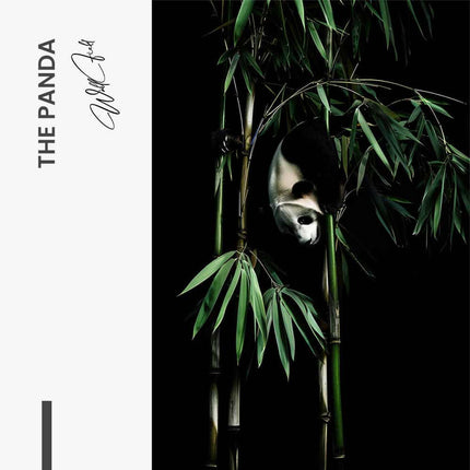 The Panda – Glass