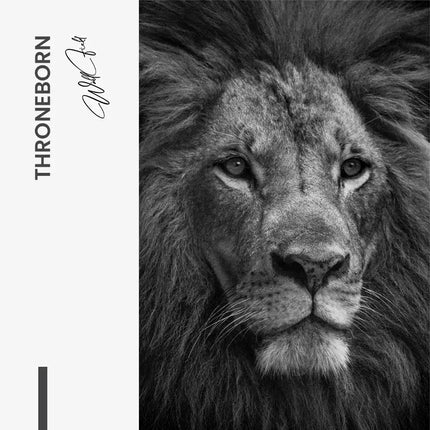 Throneborn – Glass