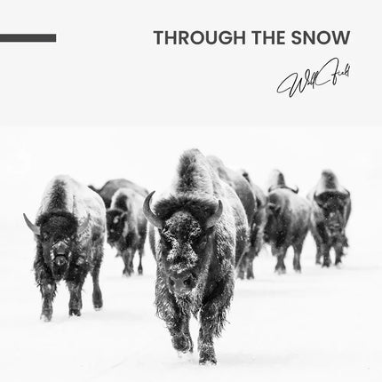 Through the Snow – Glass