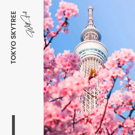 Tokyo Skytree – Glass