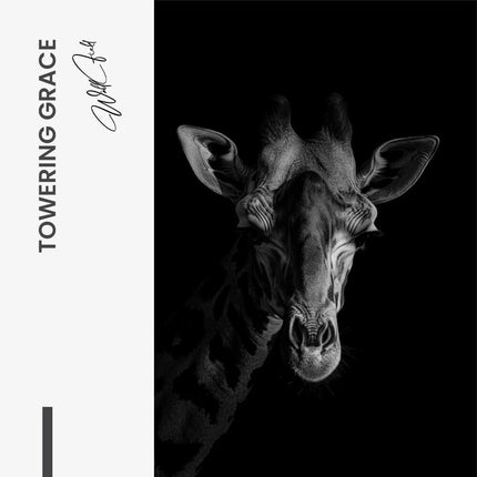 Towering Grace – Glass