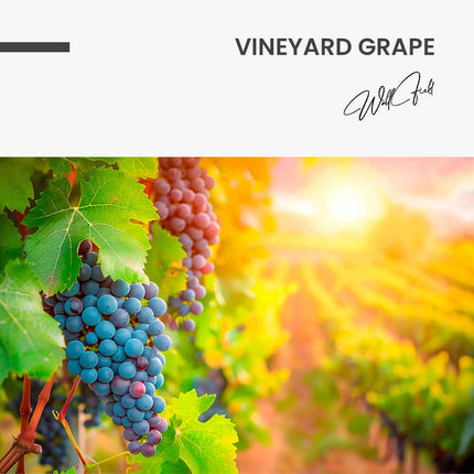 Vineyard Grape – Glass