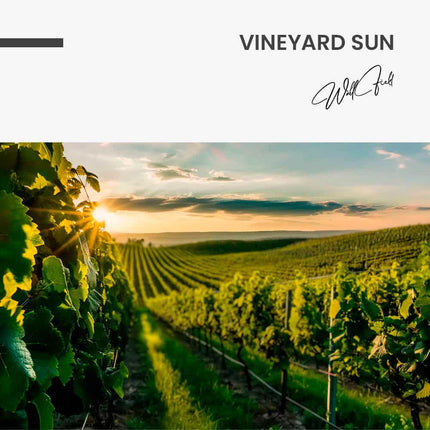 Vineyard Sun – Glass