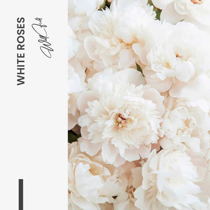 White Roses – Glass