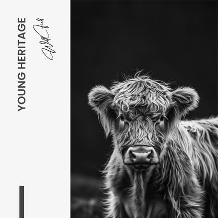 Young Heritage – Glass