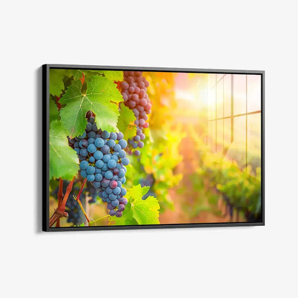 Vineyard Grape – Glass