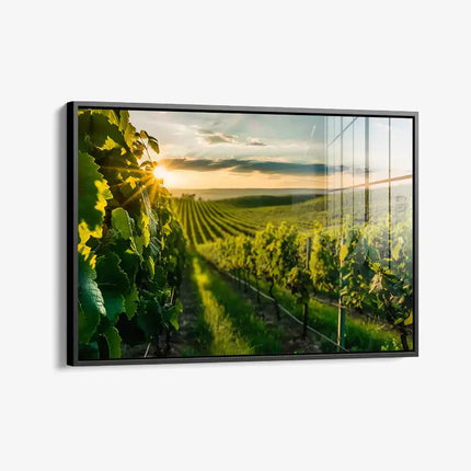 Vineyard Sun – Glass