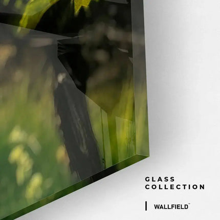 Vineyard Sun – Glass