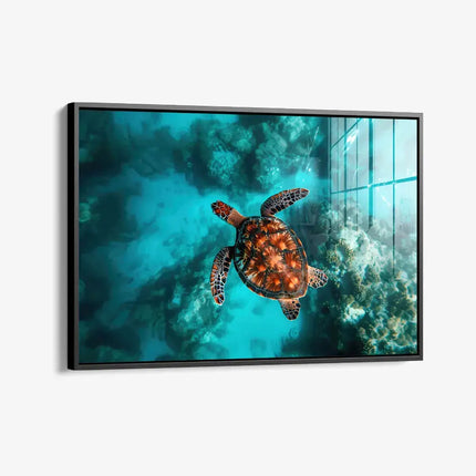 Sea Turtle HZ – Glass