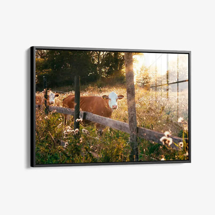 Swedish Cow – Glass