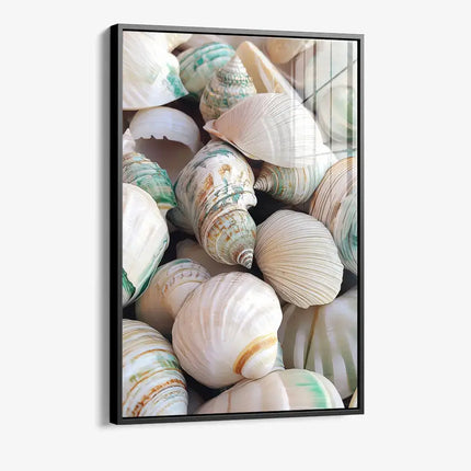 Sea Shell – Glass