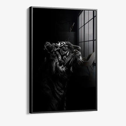 Stripes of Authority – Glass