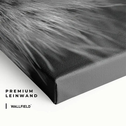 Bundle: "Wild Mirror" (2x)