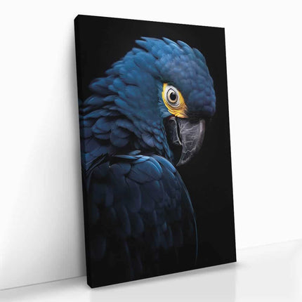 "Blue Macaw"