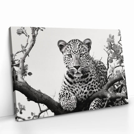 "Jaguard In The Tree"