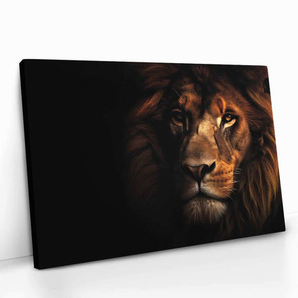 "Lion In The Dark HZ"